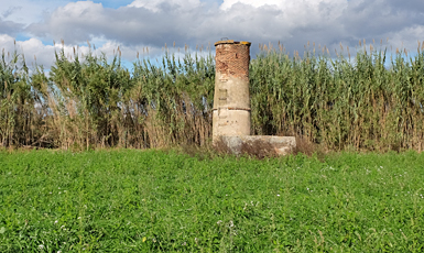 Cassà de la Selva, Muscaroles